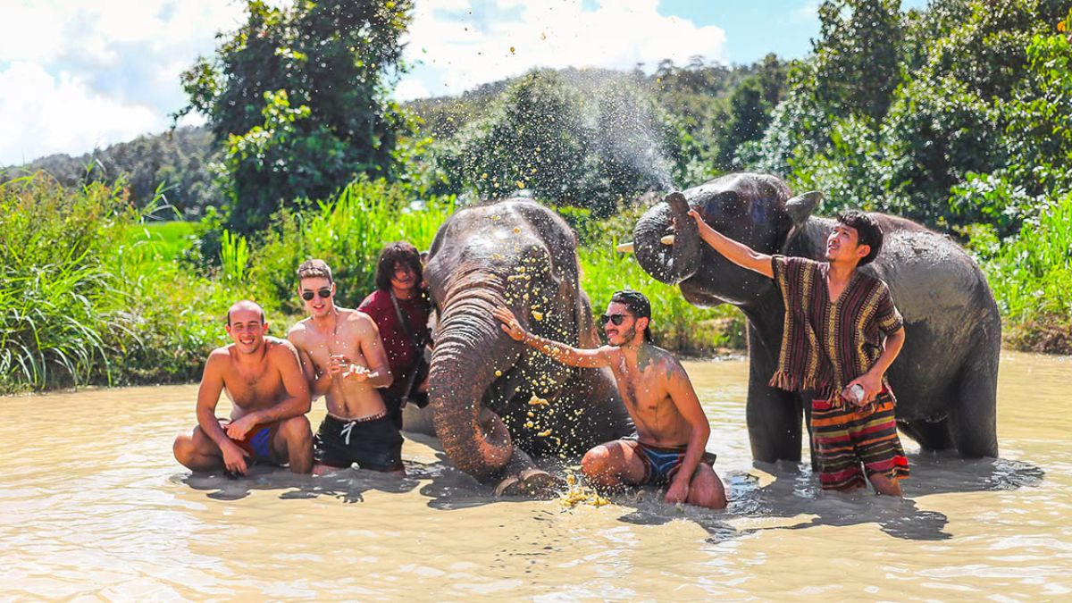 Experiencing At Elephant Nature Park