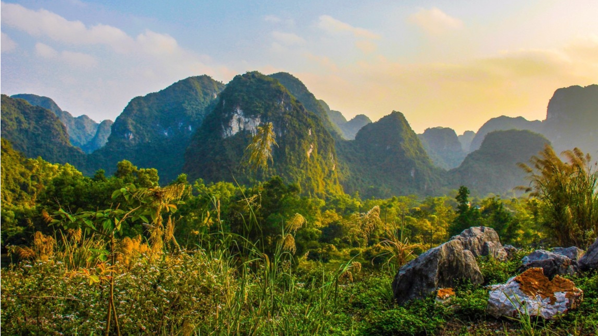 Day 5 Discover Rare Wildlife And Towering Limestone Peaks At Cat Ba National Park