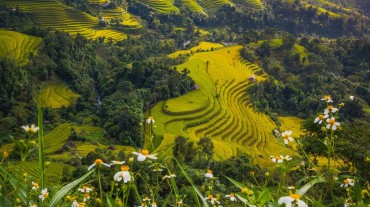 Timeless Wonders of Southeast Asia: 4 Weeks in Thailand, Vietnam & Cambodia